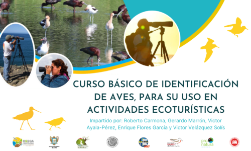 “Curso básico teórico-práctico para la identificación de aves para su uso en actividades ecoturísticas”