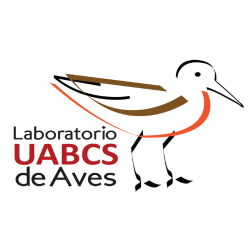 Laboratorio de aves UABCS