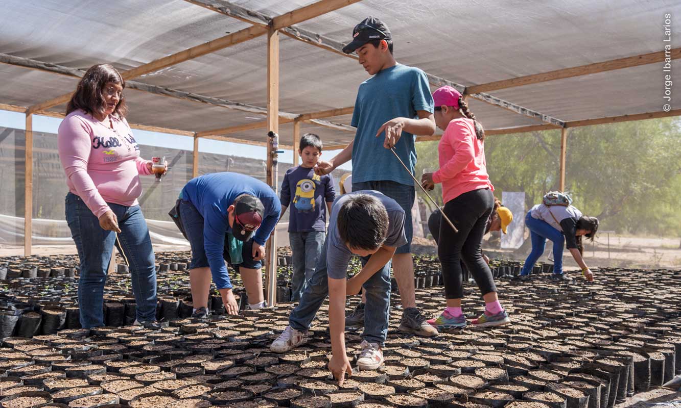 Voluntarios en reforestación