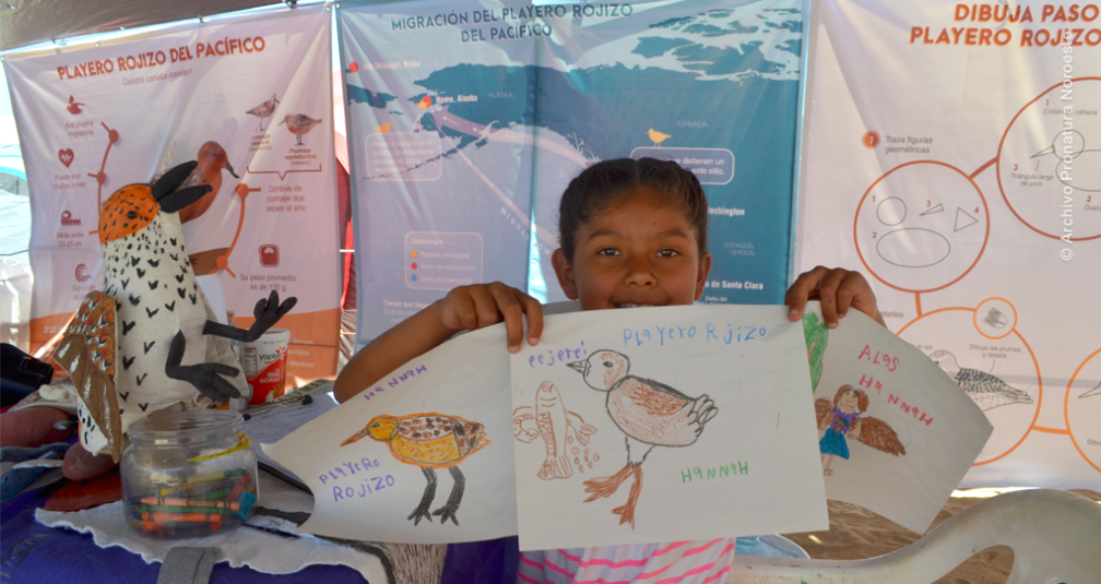 Niña con dibujo de ave playera