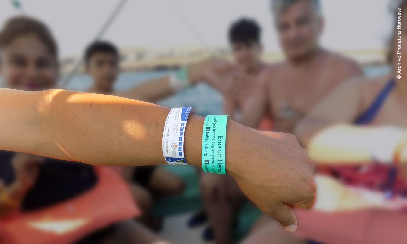 Brazaletes Paralelo 28