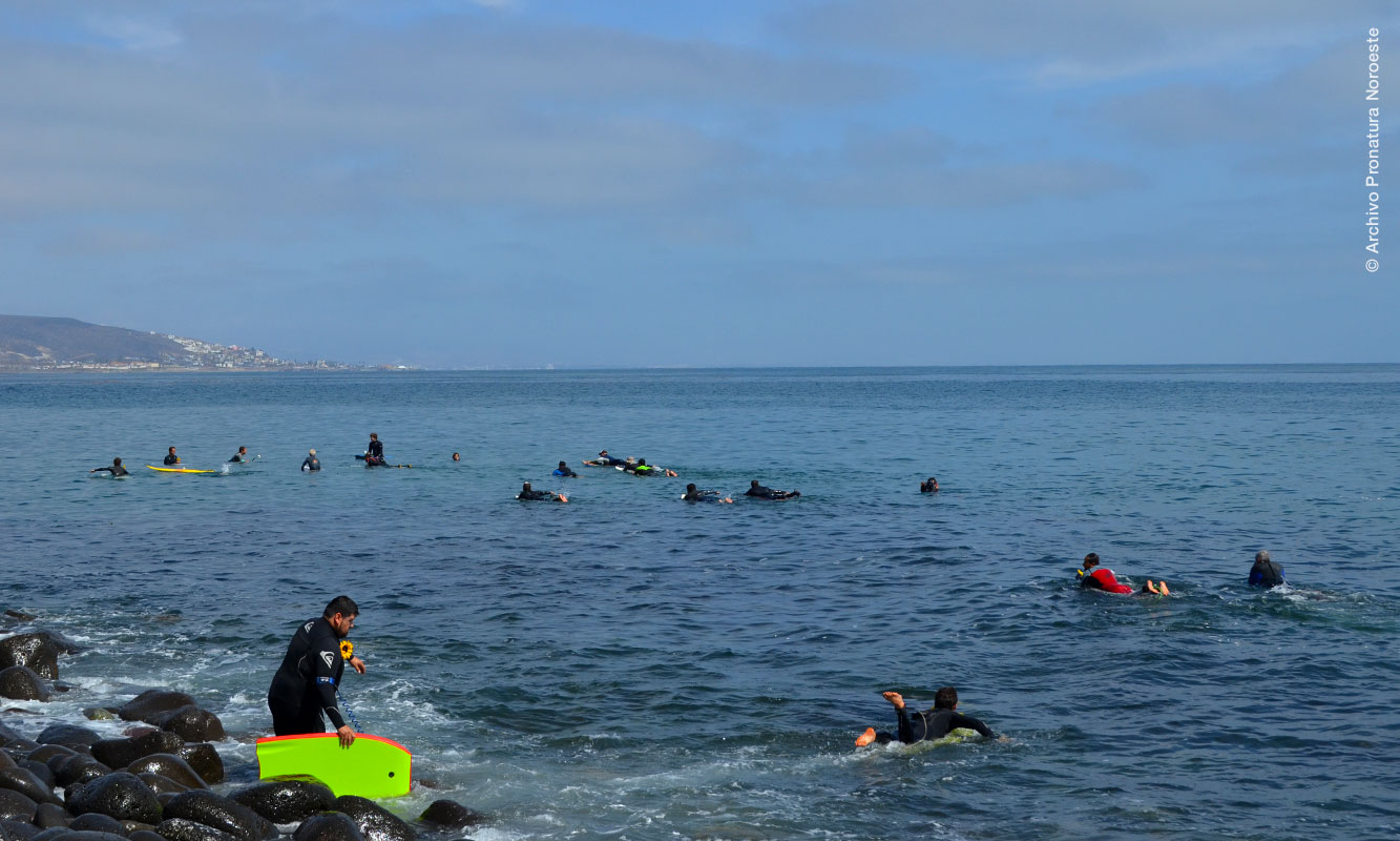 Surfistas en Bahía de Todos Santos