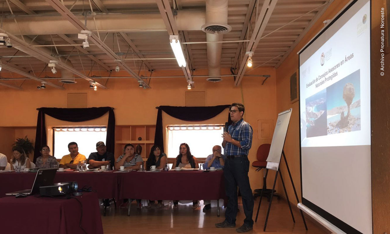 Reunión de consejo asesor