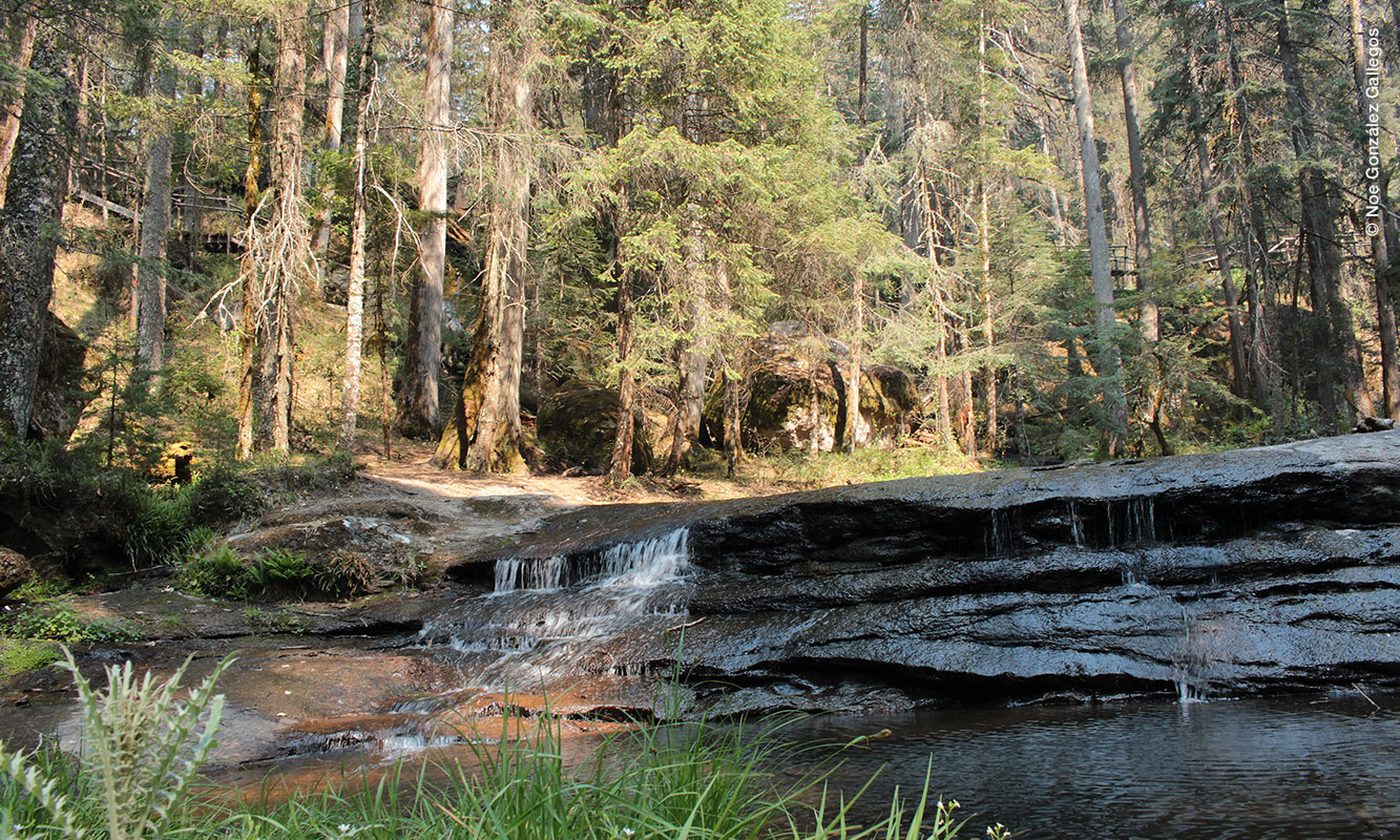Cascadas Santa Bárbara en Pueblo Nuevo, Durango. Foto por Noe González Gallegos.