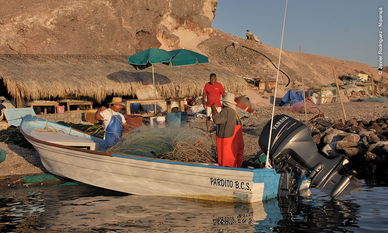 Pescadores en panga "Pardito B. C. S."