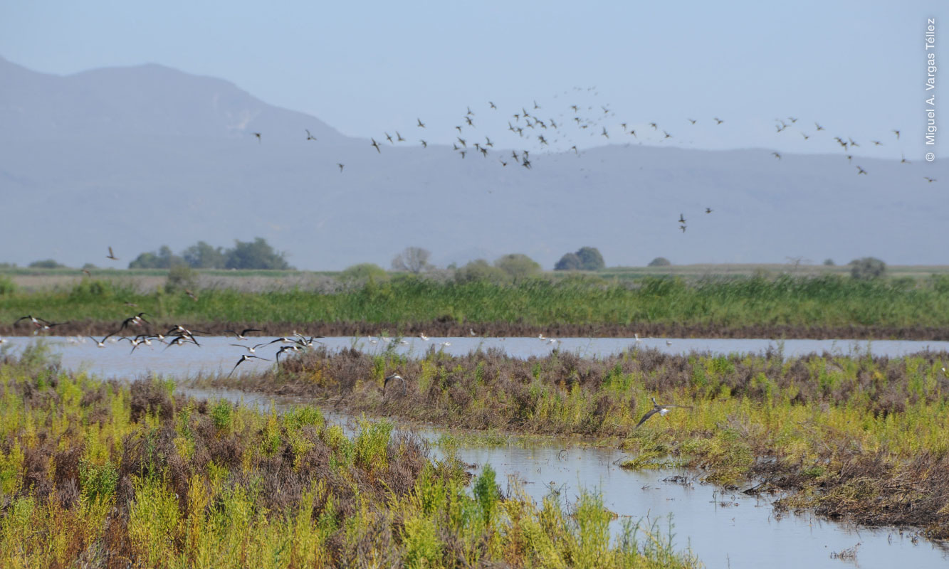 Paisaje de Bahía Santa María