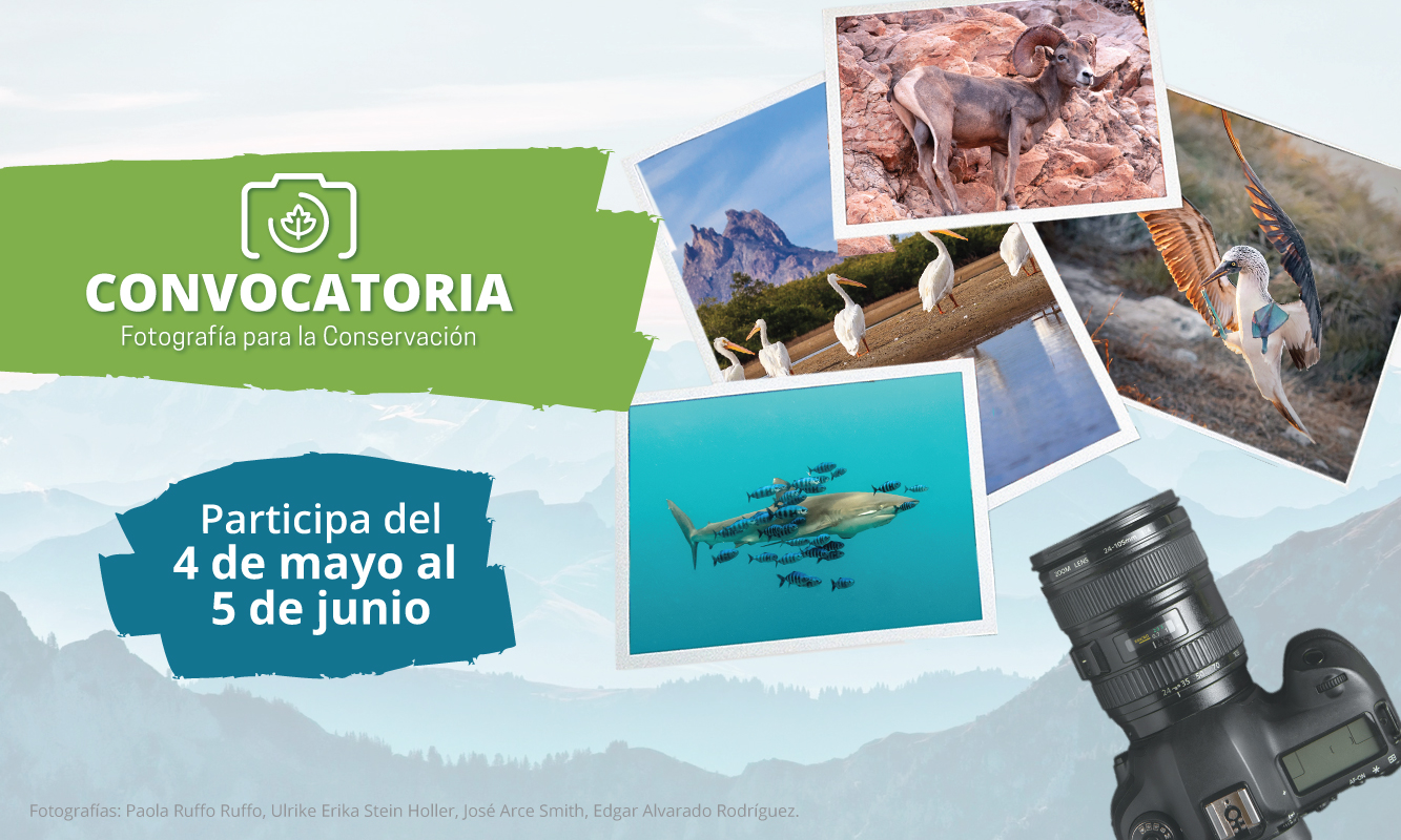 Imagen convocatoria Fotografía para la conservación 4 de mayo al 5 de junio de 2020.