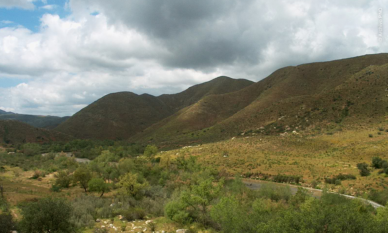 Paisaje con río en Cuchuma, Tecate.