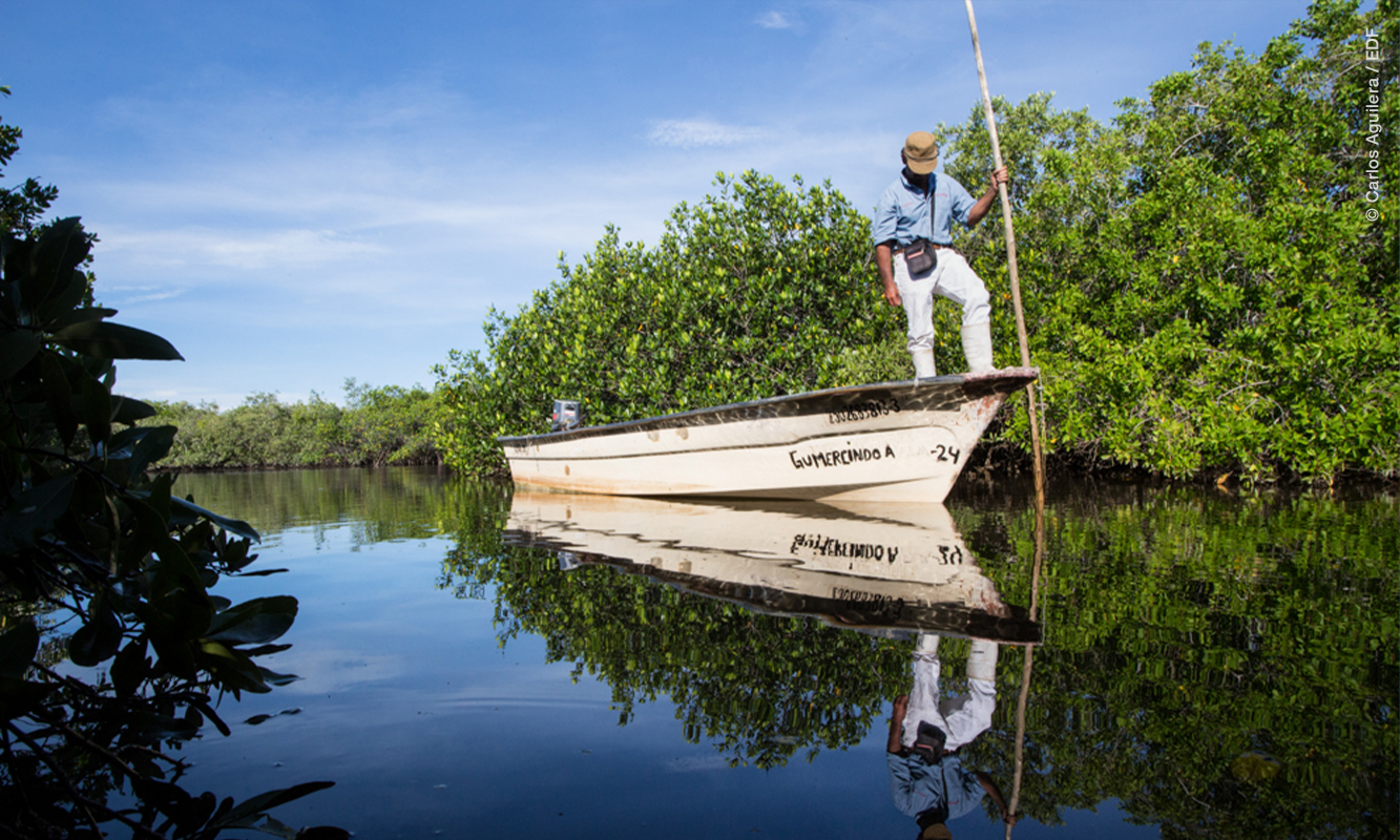 Canal de agua rodeado por arbustos de manglar. Un bote blanco va navegando con un hombre de sombrero que rema de pie en el frente de la panga.