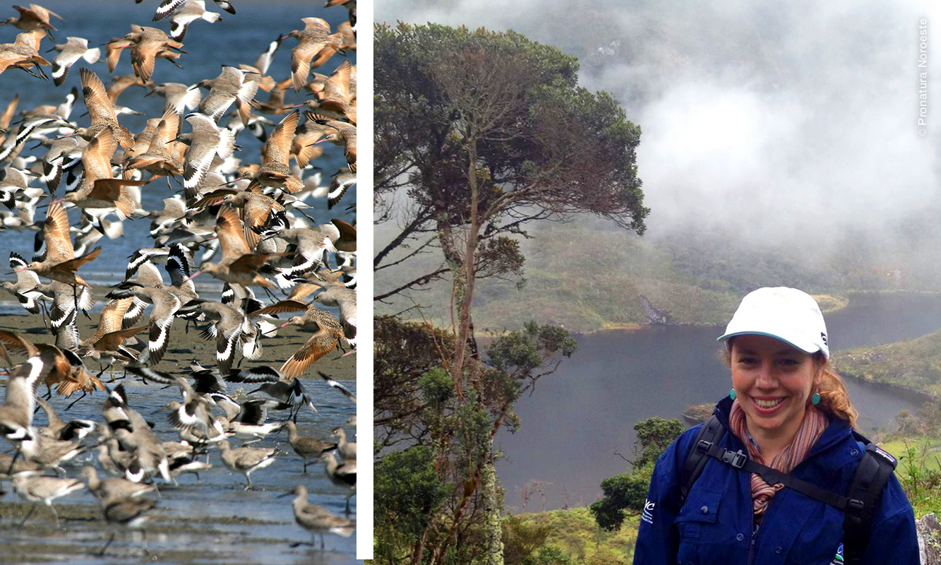 Natalie Rodríguez, Coordinadora del Programa de Conservación de Aves.