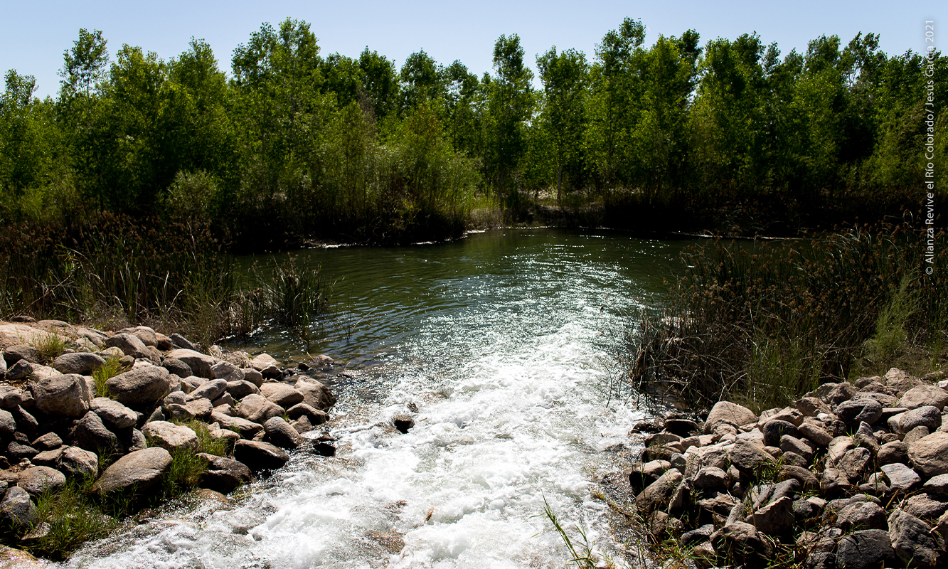 Flujo de agua liberado. Foto por Alianza Revive el río - Jesús García 2021