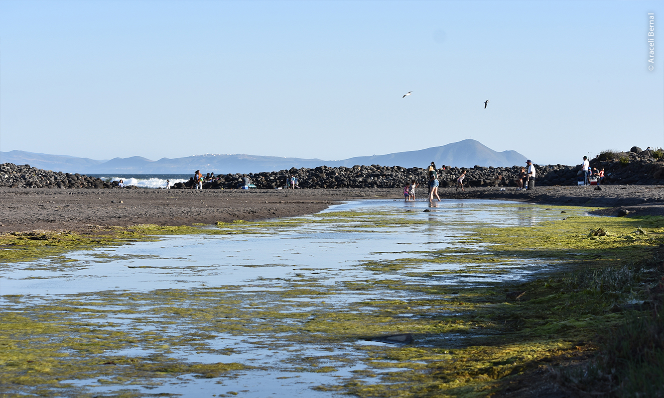 Vista desde el arroyo en la Playa de San Miguel