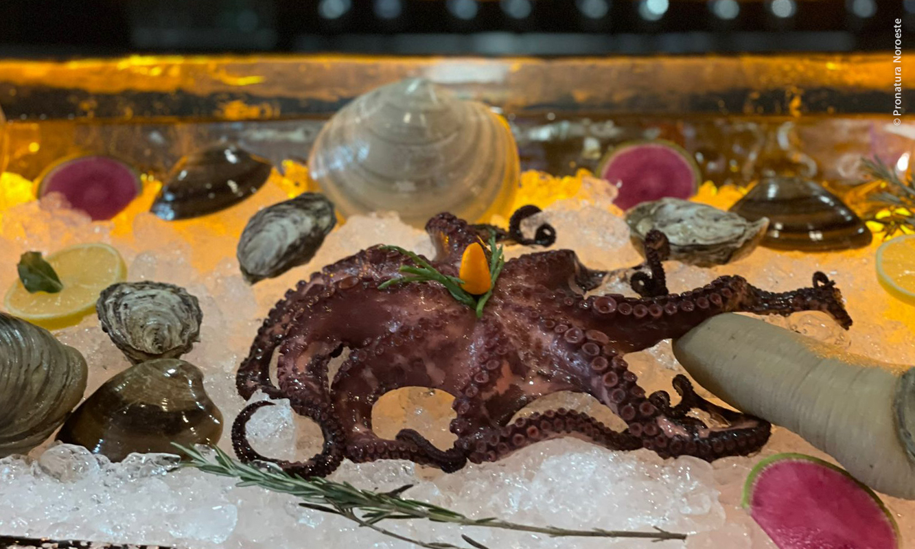 Puplo exhibido en hielo