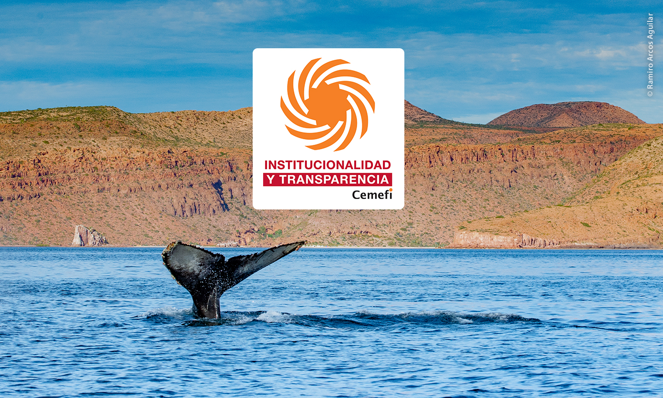 Cola de ballena Megaptera Novaengliae sobresaliendo del mar en La Paz, Baja California Sur (al fondo) y Certificado de Institucionalidad y Transparencia de CEMEFI - Foto de Ramiro Arcos Aguilar.