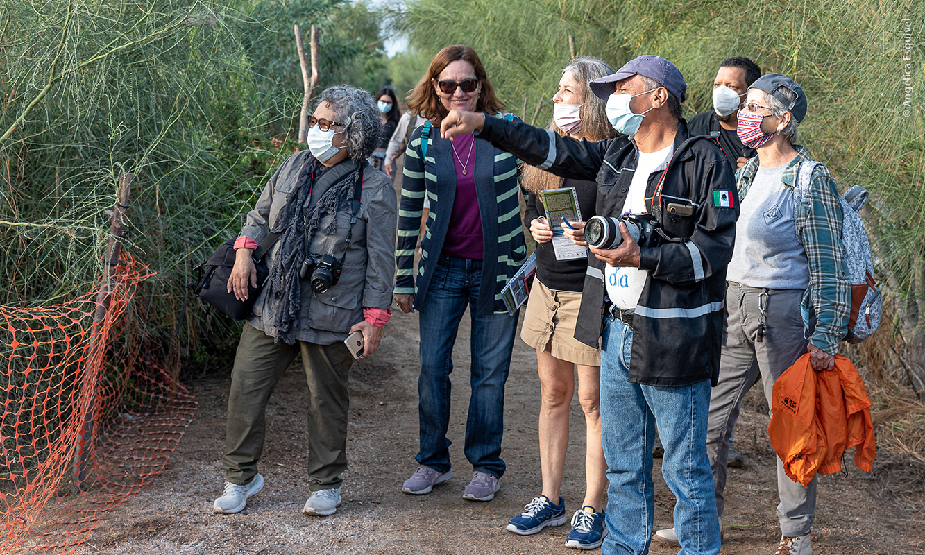 Group of people watching birds at the Eco Parque de la Juventud, La Paz, B. C. S. 