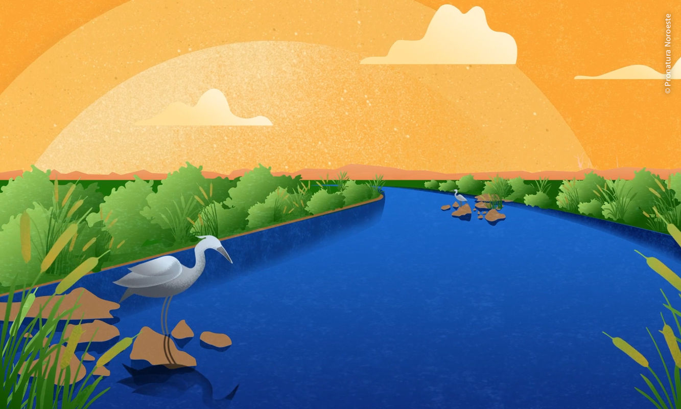 Ilustración de garza posada a la orilla del Rio Colorado