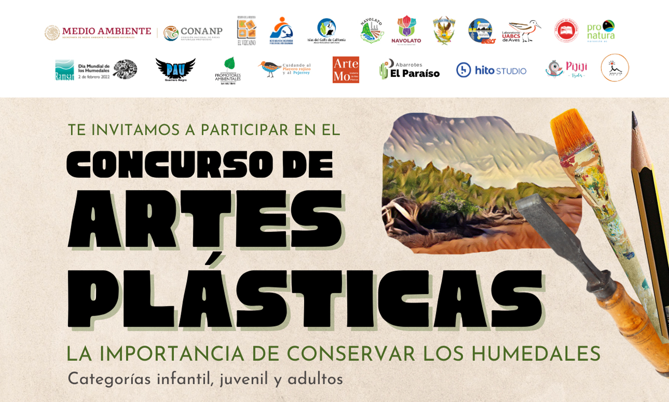 Concurso de Artes Plásticas