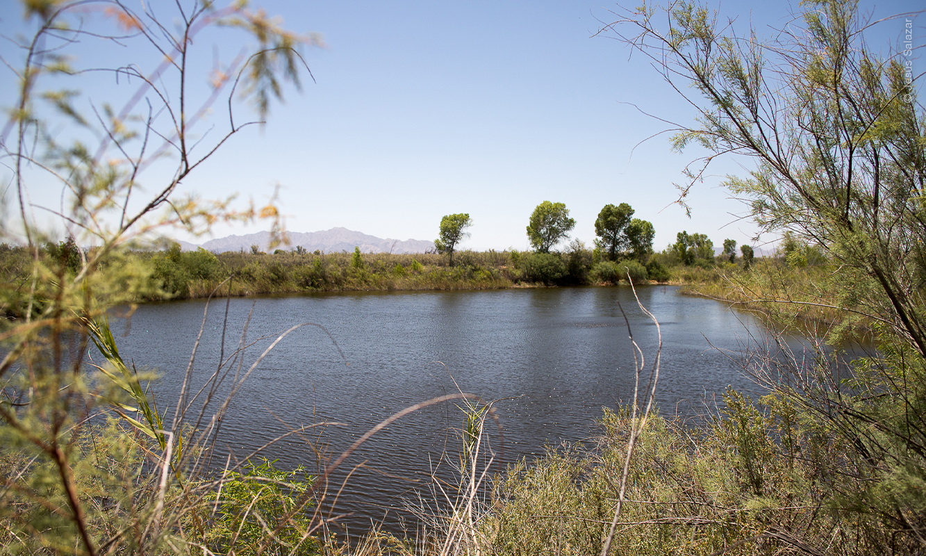 Paisaje del cauce del Río Colorado en Chausse