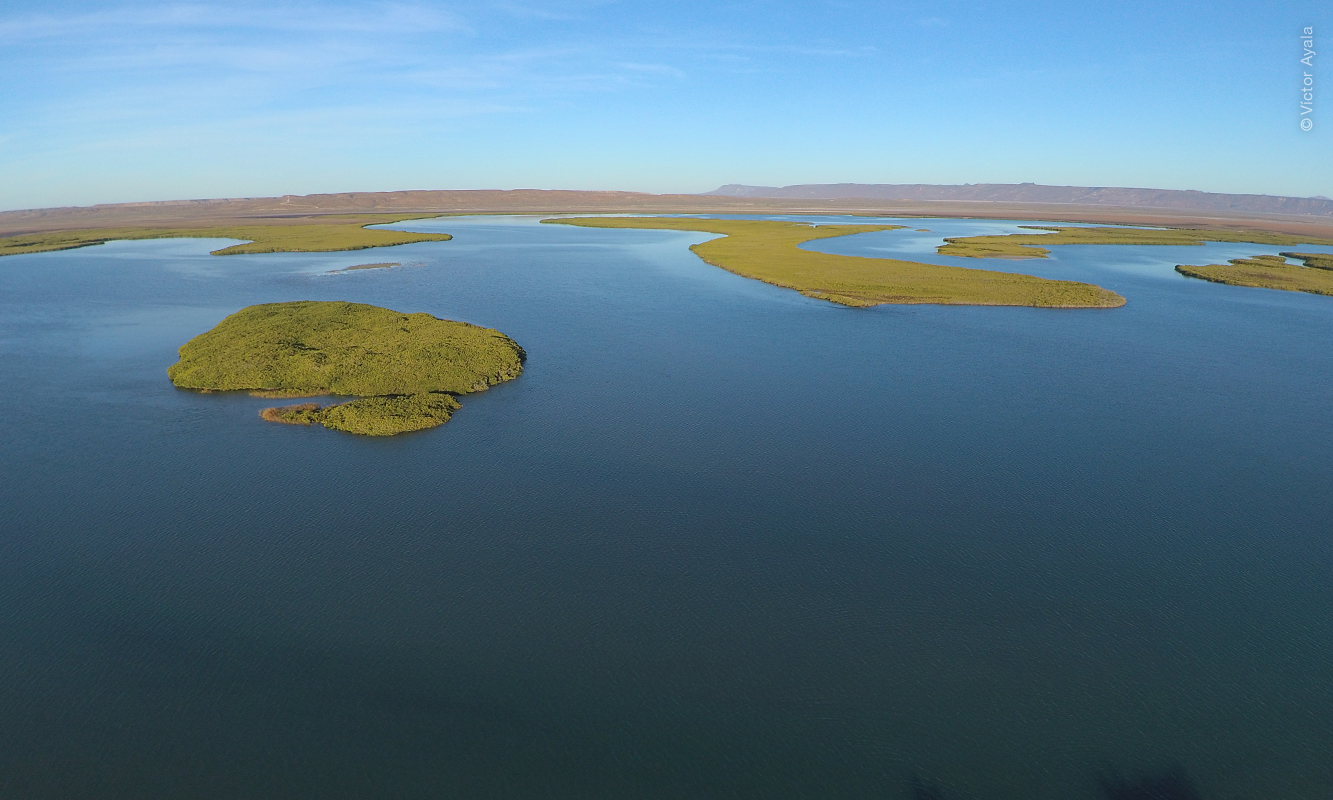 Vista aérea de Bahía Magdalena. Foto de Víctor Ayala.