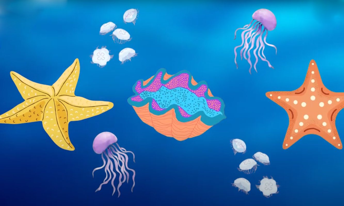 Undersea illustration