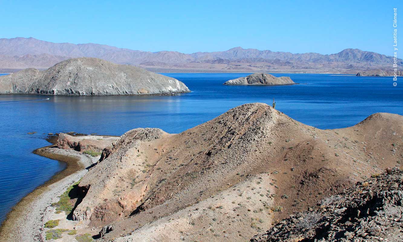 Paisaje de Bahía de los Ángeles, Baja California