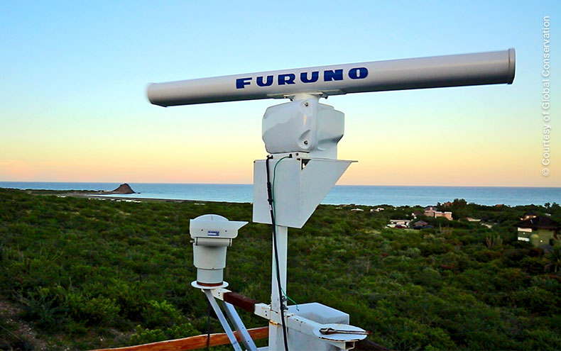 Cabo Pulmo, Radar Global Conservation