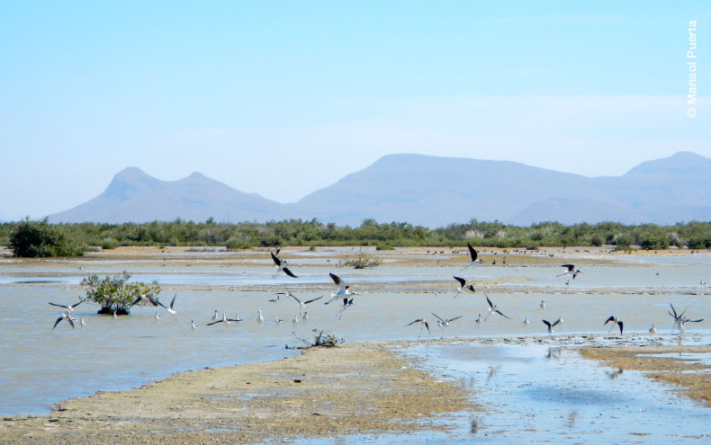 Paisaje de Bahía Santa María