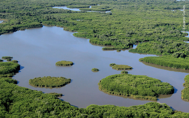 Vista aérea de Marismas Nacionales Nayarit