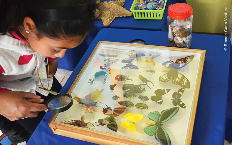 Niña observando con ayuda de su maestra y una lupa, insectos alados en su mesa de trabajo. Foto por Bianca Ventura.