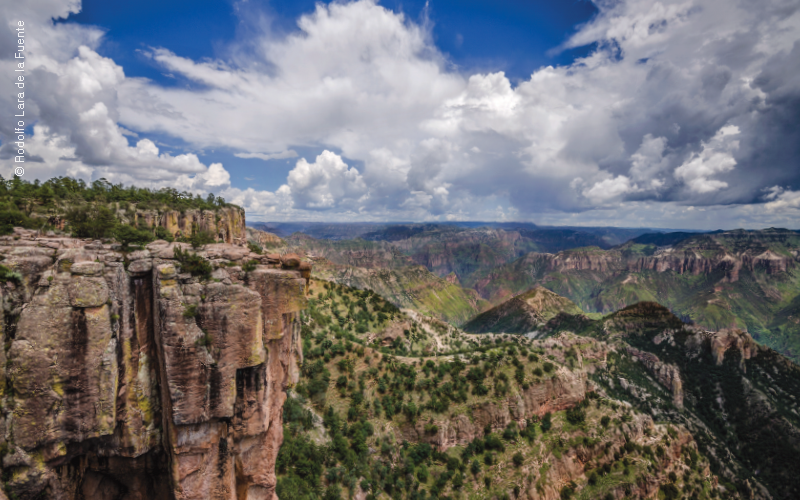 Sierra Tarahumara en Chihuahua. Fotografía por Rodolfo Lara de la Fuente