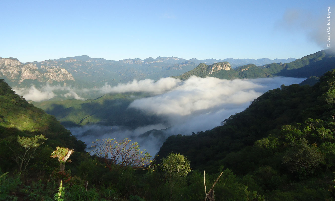 Montañas de Durango