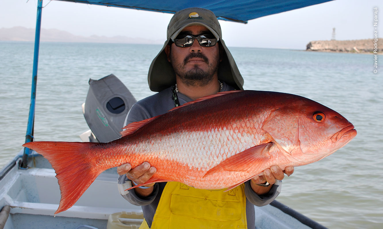 Fisherman holding a fish.