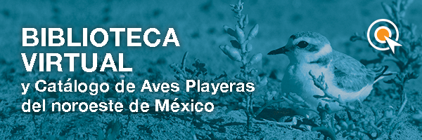 Biblioteca virtual y catálogo de aves playeras del noroeste de México.