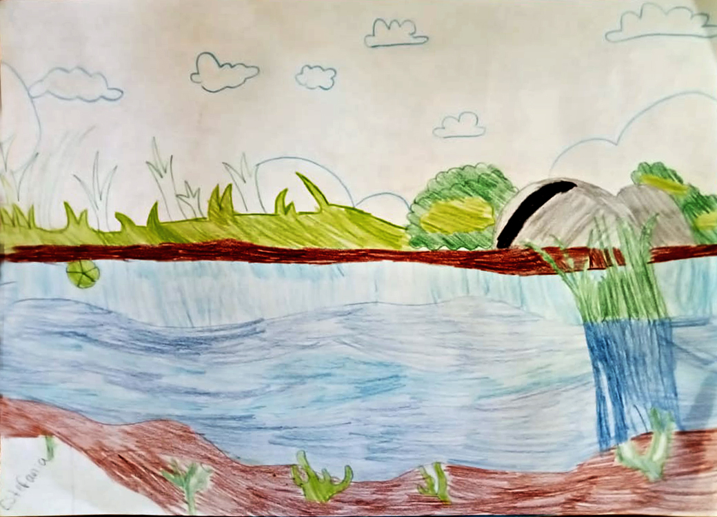 Dibujo con lápices de color, con vista a nivel del suelo de una rivera de río.