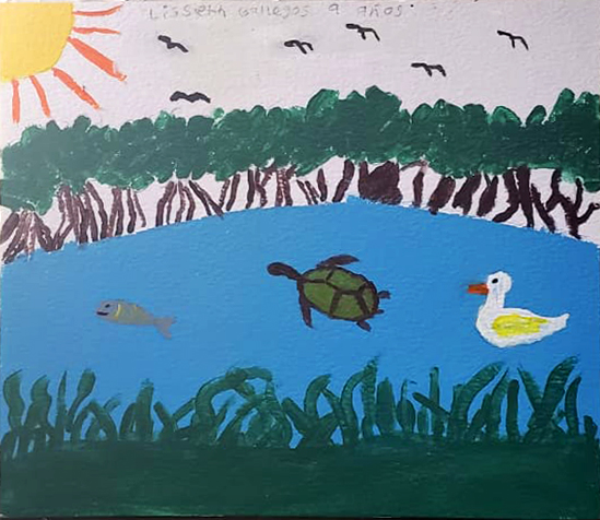 Pez, tortuga y pato en cuerpo de agua rodeado de árboles de mangle. 