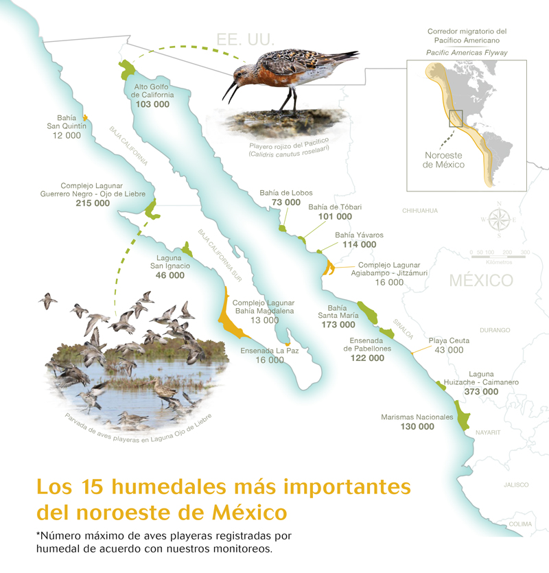 Mapa de los 15 humedales más importantes del noroeste mexicano.