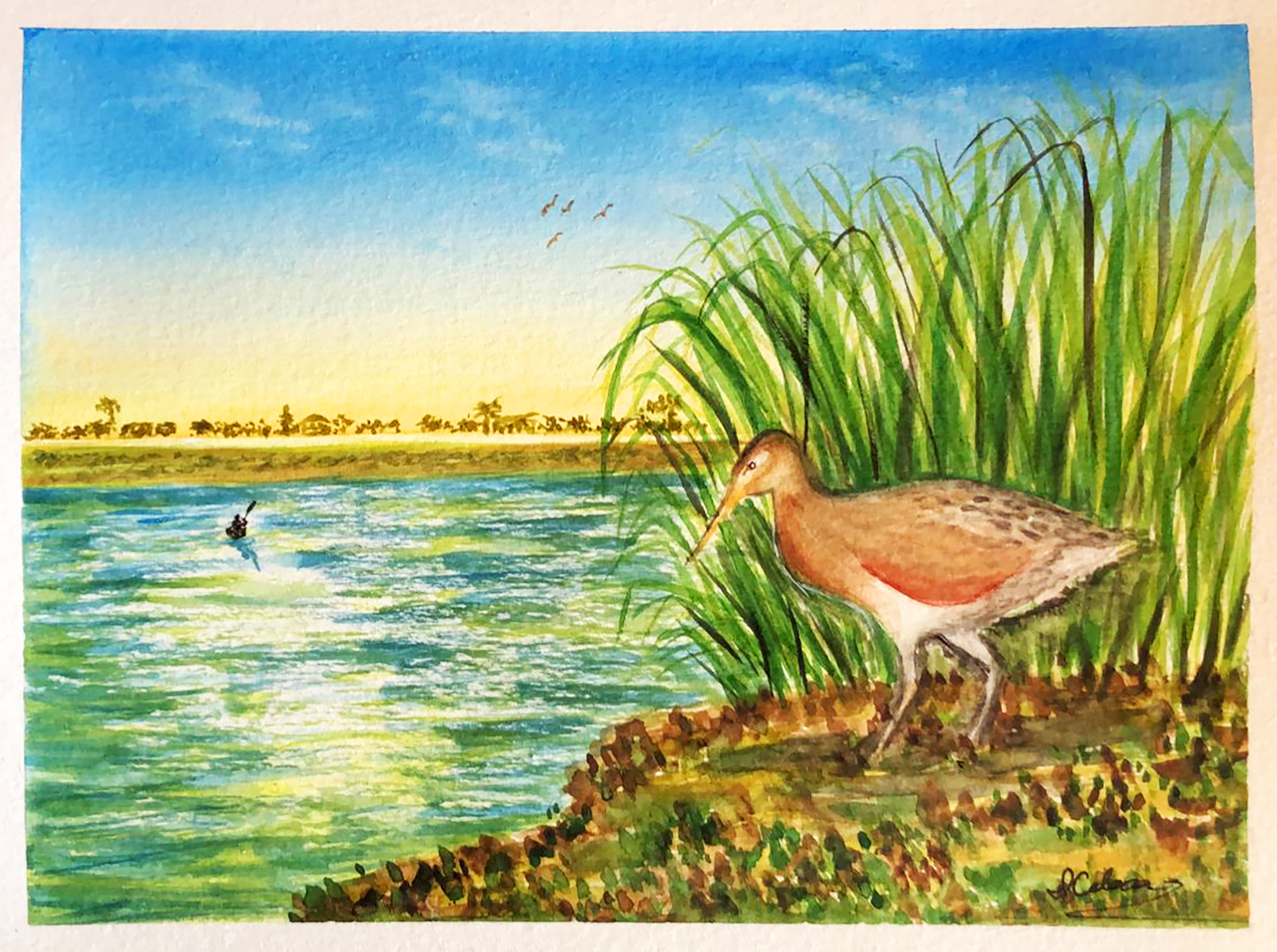 Paisaje de laguna con juncos y un Palmoteador en la orilla. A lo lejos se observa la sombra de una persona haciendo kayak.