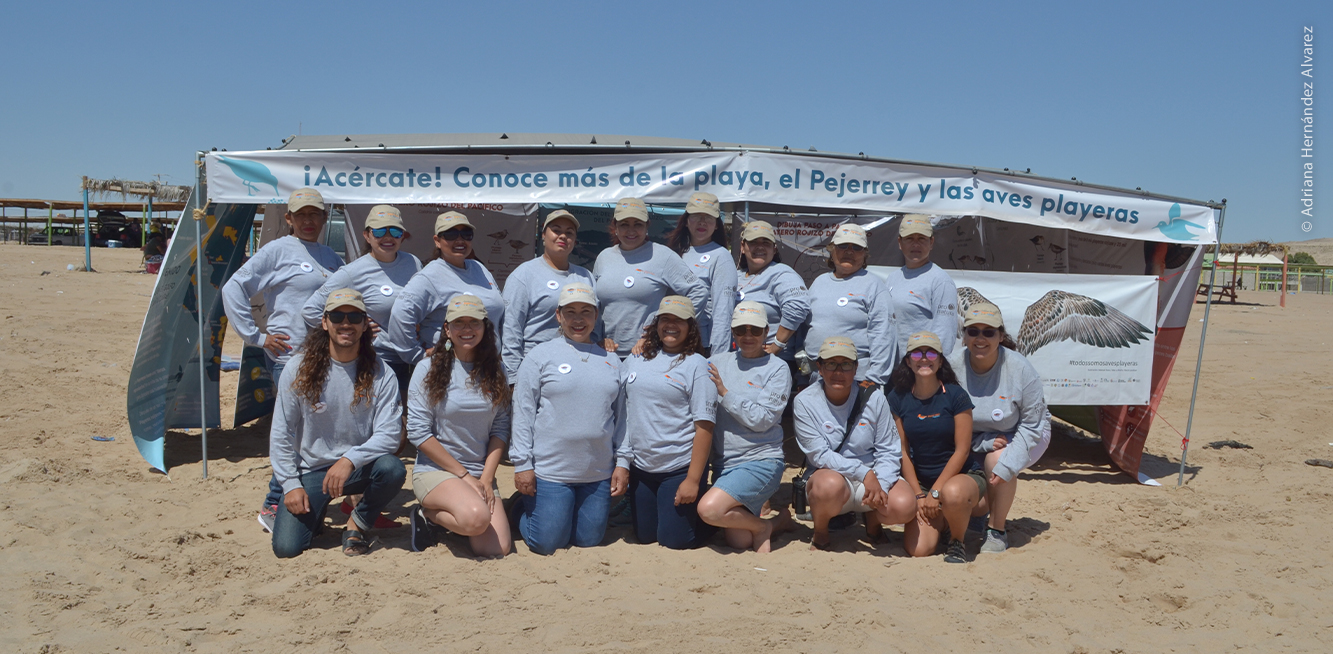 Pejerreinas en campaña en el Golfo de Santa Clara