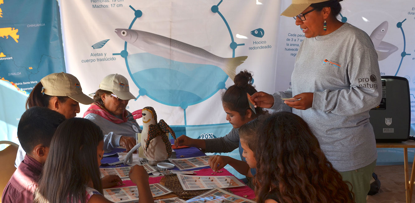 Niños lotería aves