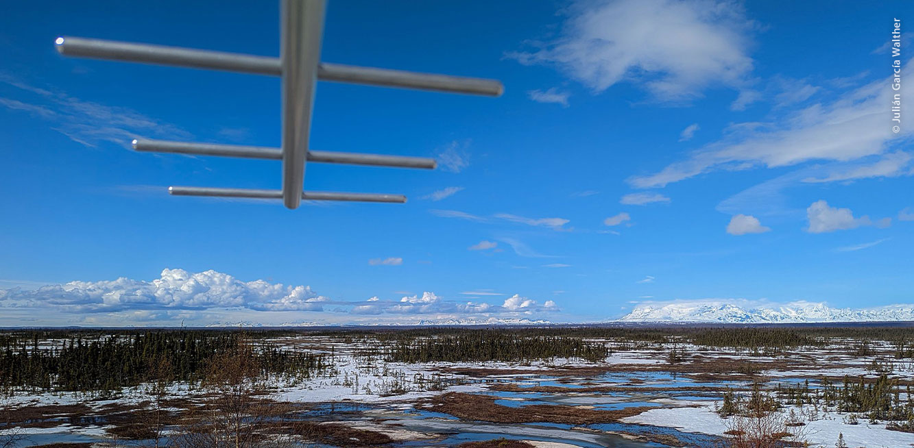 Antena MOTUS instalada en Beluga, Alaska