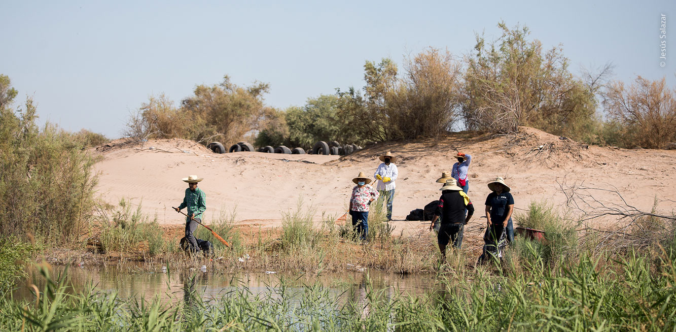 Limpieza Vado Carranza