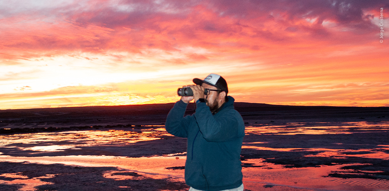 Monitoreo al atardecer.