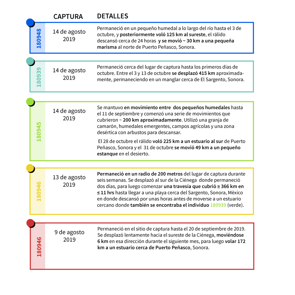 Tabla con descripción de los recorridos de los 5 individuos mostrados en el mapa.