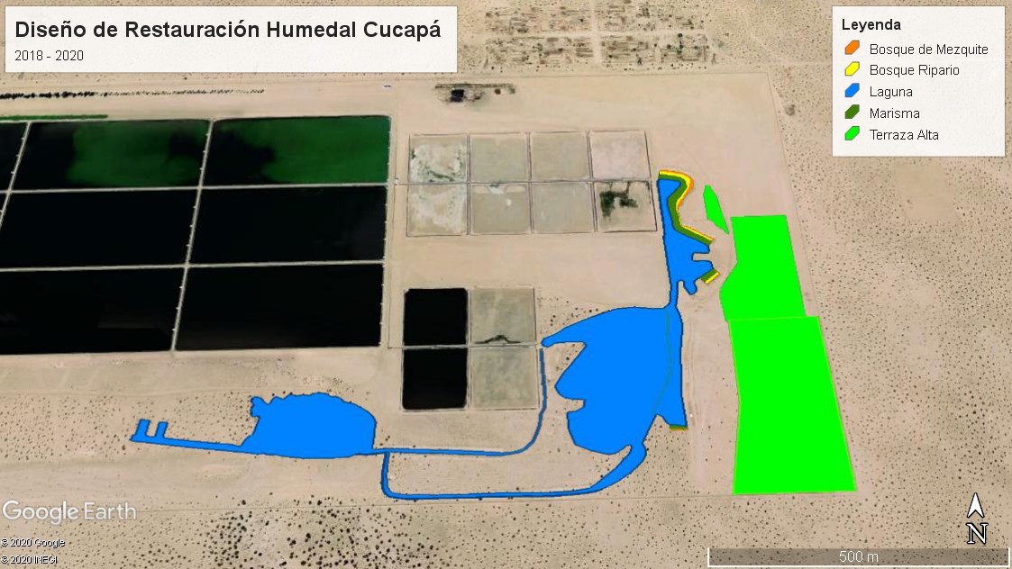 Diseño de restauración del Humedal Cucapá
