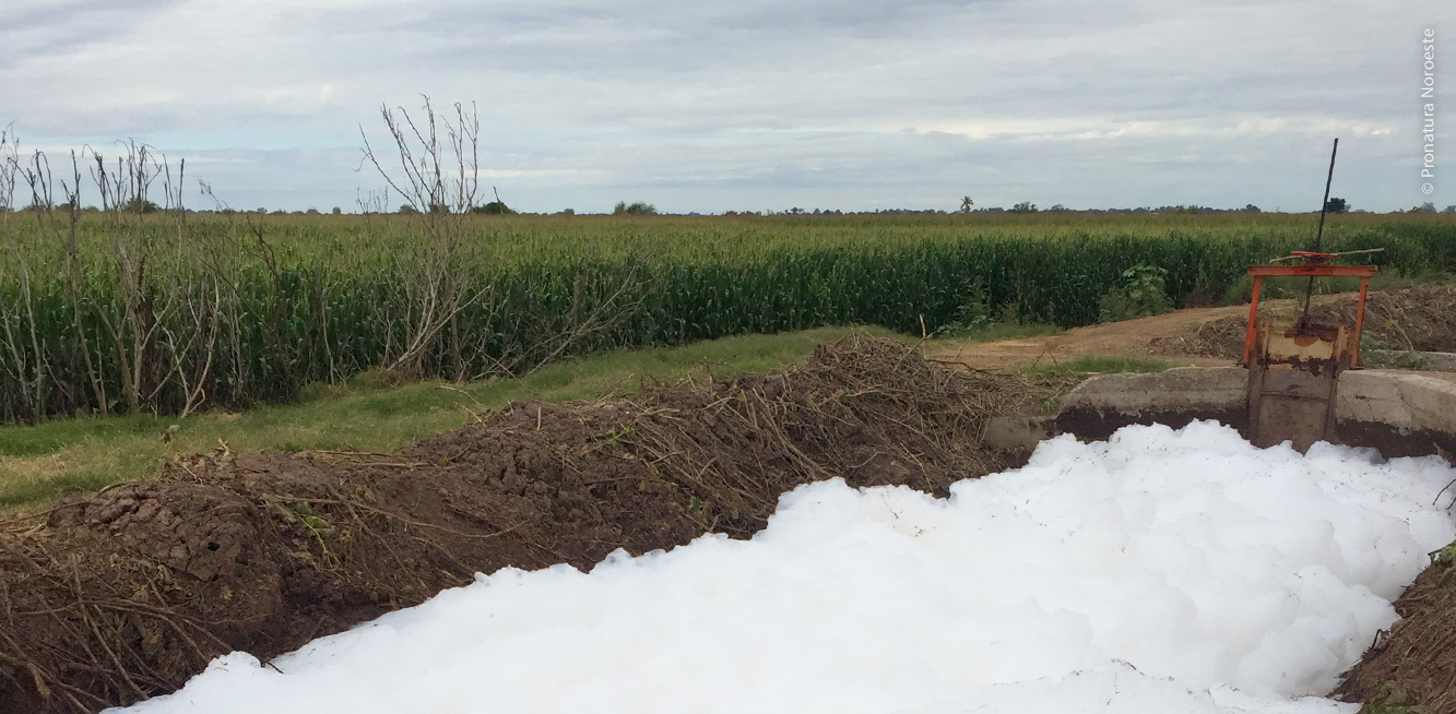Espuma y contaminación en el Dren