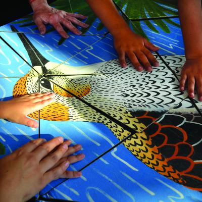 Programa de Educación para la Conservación