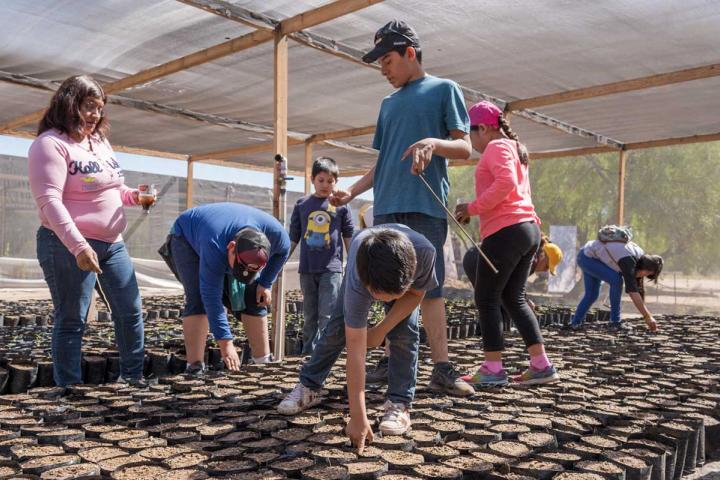 Voluntarios en reforestación