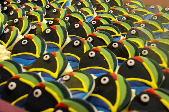 Aniversario 25 Pronatura Noroeste