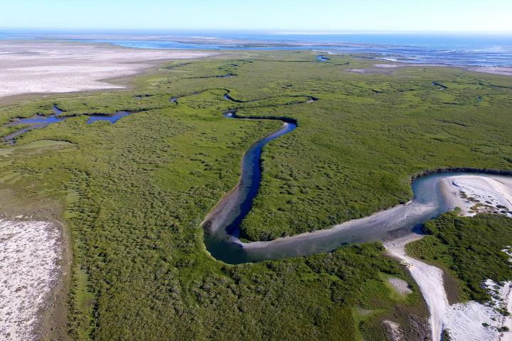 Vista aerea de Laguna San Ignacio, Baja California Sur