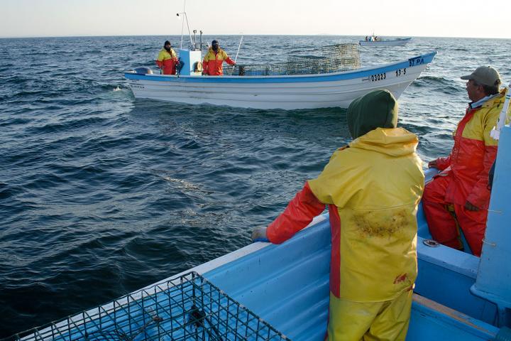 Pescadores en Punta Abreojos, Baja California Sur
